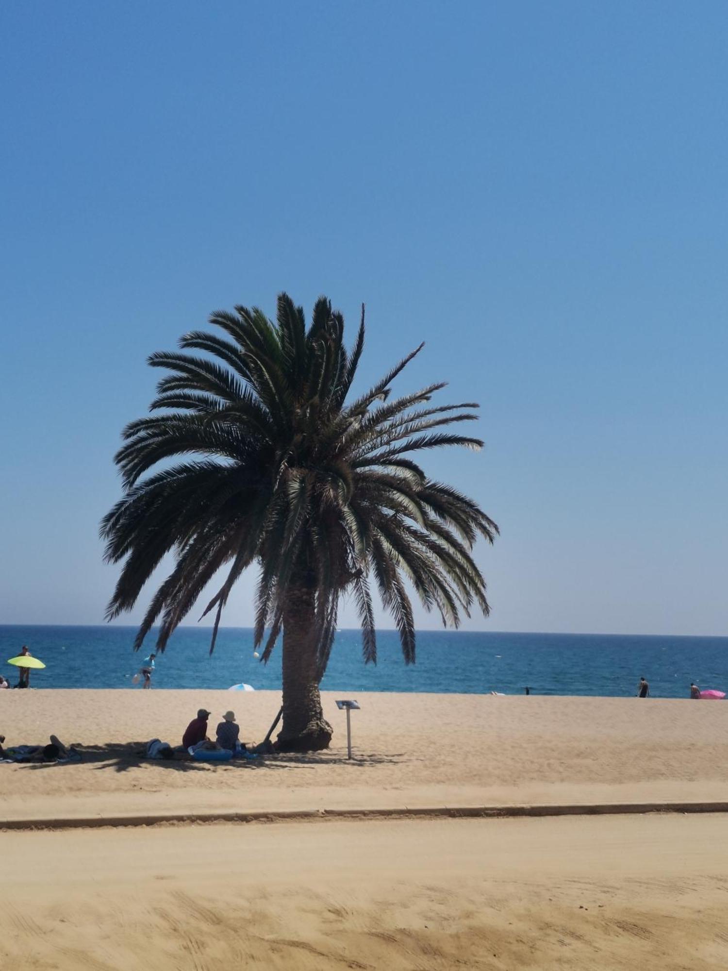 Apartamento Centrico En Calella Eksteriør bilde