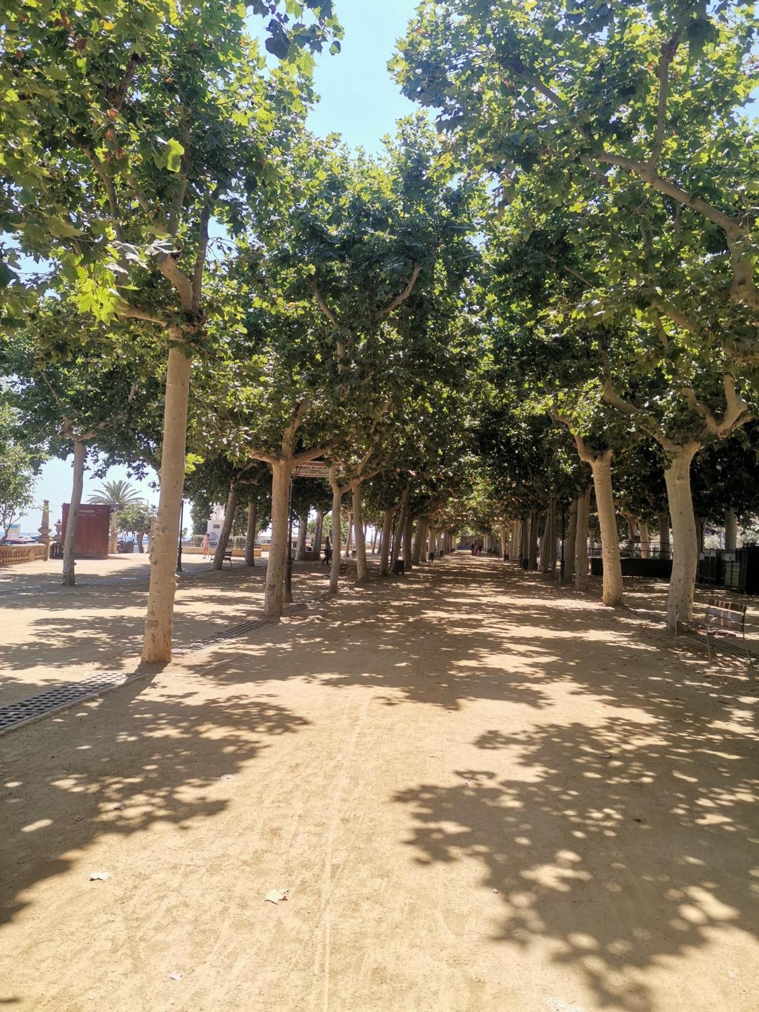 Apartamento Centrico En Calella Eksteriør bilde